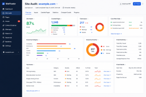 An image displaying a screenshot of a sample website audit dashboard
