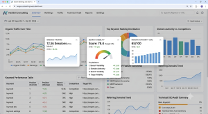 Sample SEO Analytics Dashboard image